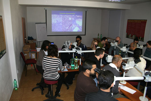 Photos of the ACP Sponsored Histopathology Course 2008