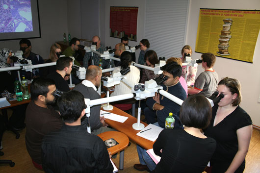 Photos of the ACP Sponsored Histopathology Course 2008